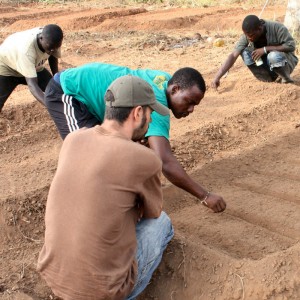 Planting Vegetable Seeds